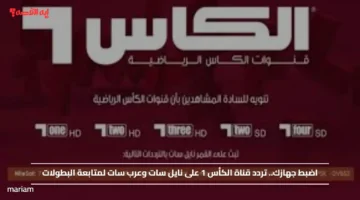 اضبط جهازك.. تردد قناة الكأس 1 على نايل سات وعرب سات لمتابعة البطولات